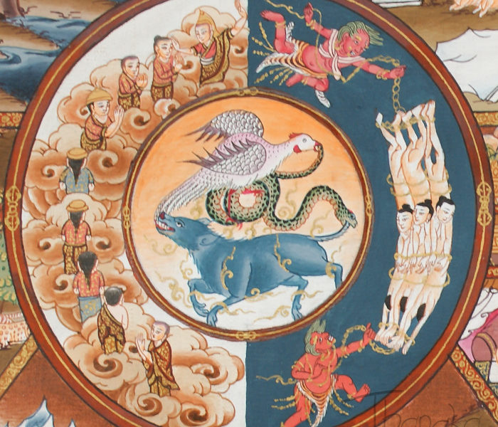 ruotadel samsara 3 veleni